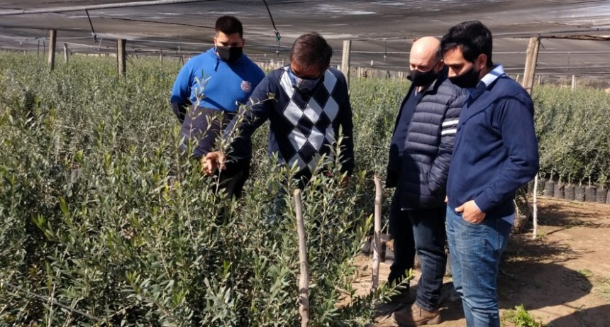 Capacitan a jóvenes en materia agrícola con salida laboral en Catamarca 