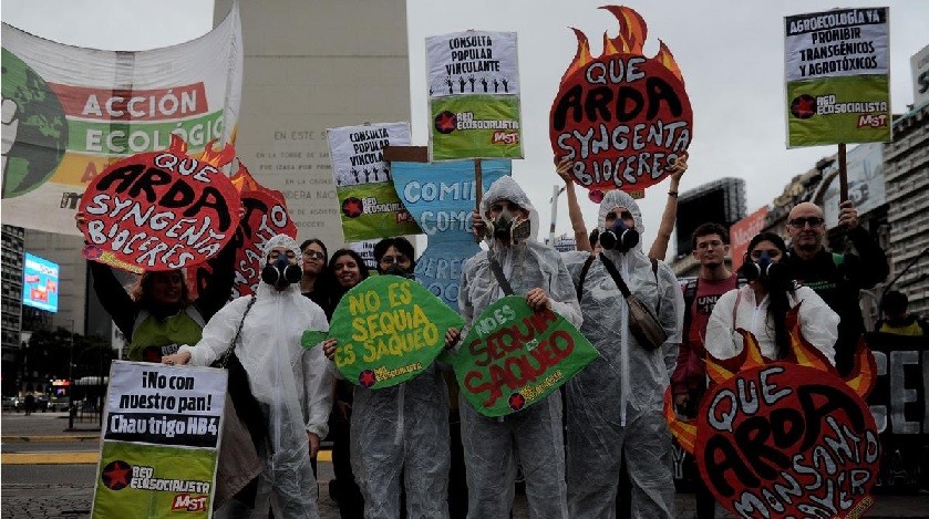  Ecointensa: violencia contra los ambientalistas en Latinoamérica 