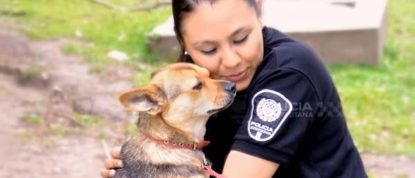Una oficial de la Policía Metropolitana halló una perrita embarazada atada a un poste, la rescató y la adoptó