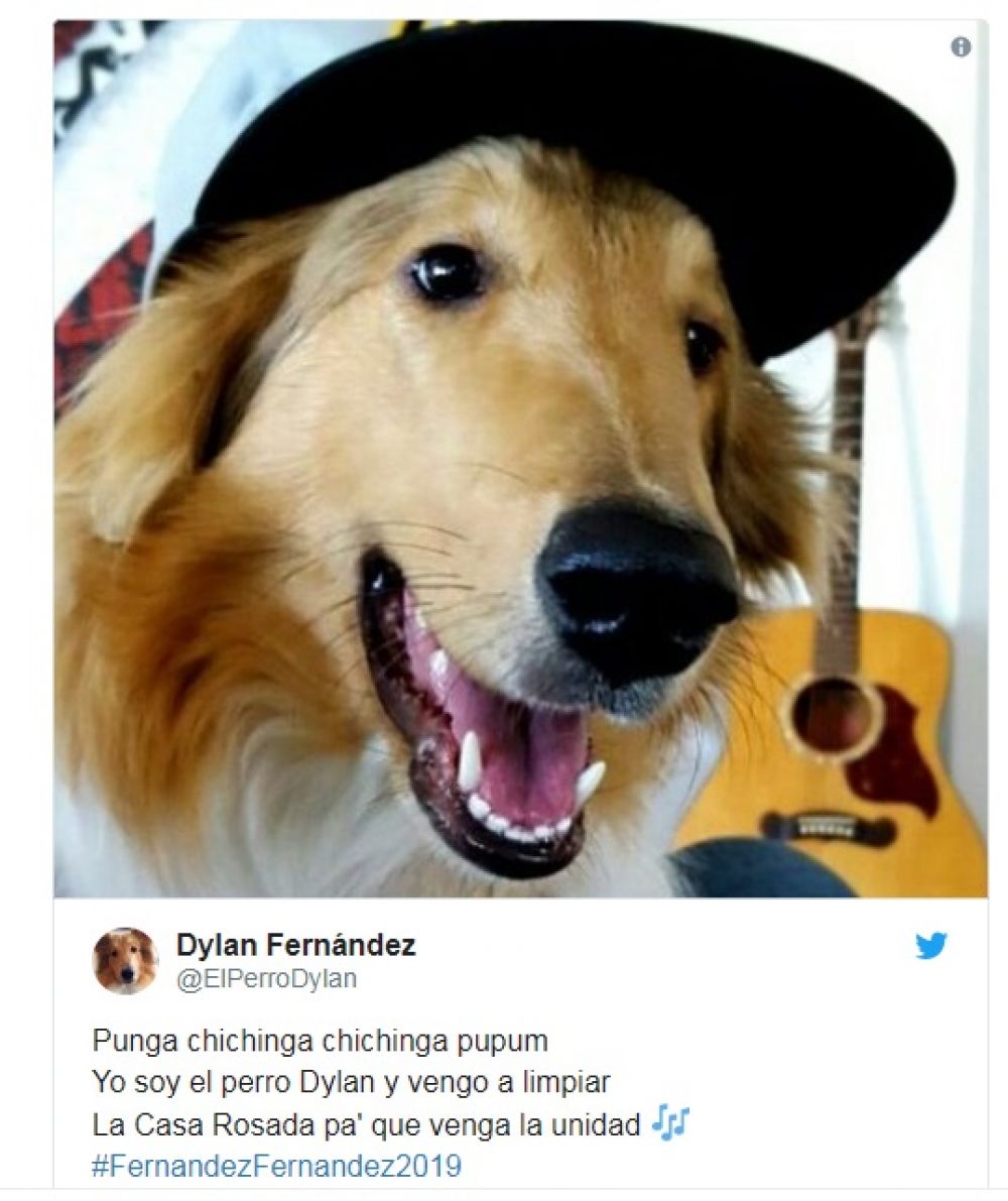 Dylan, el perro Alberto Fernández, ya tiene cuentas en sociales